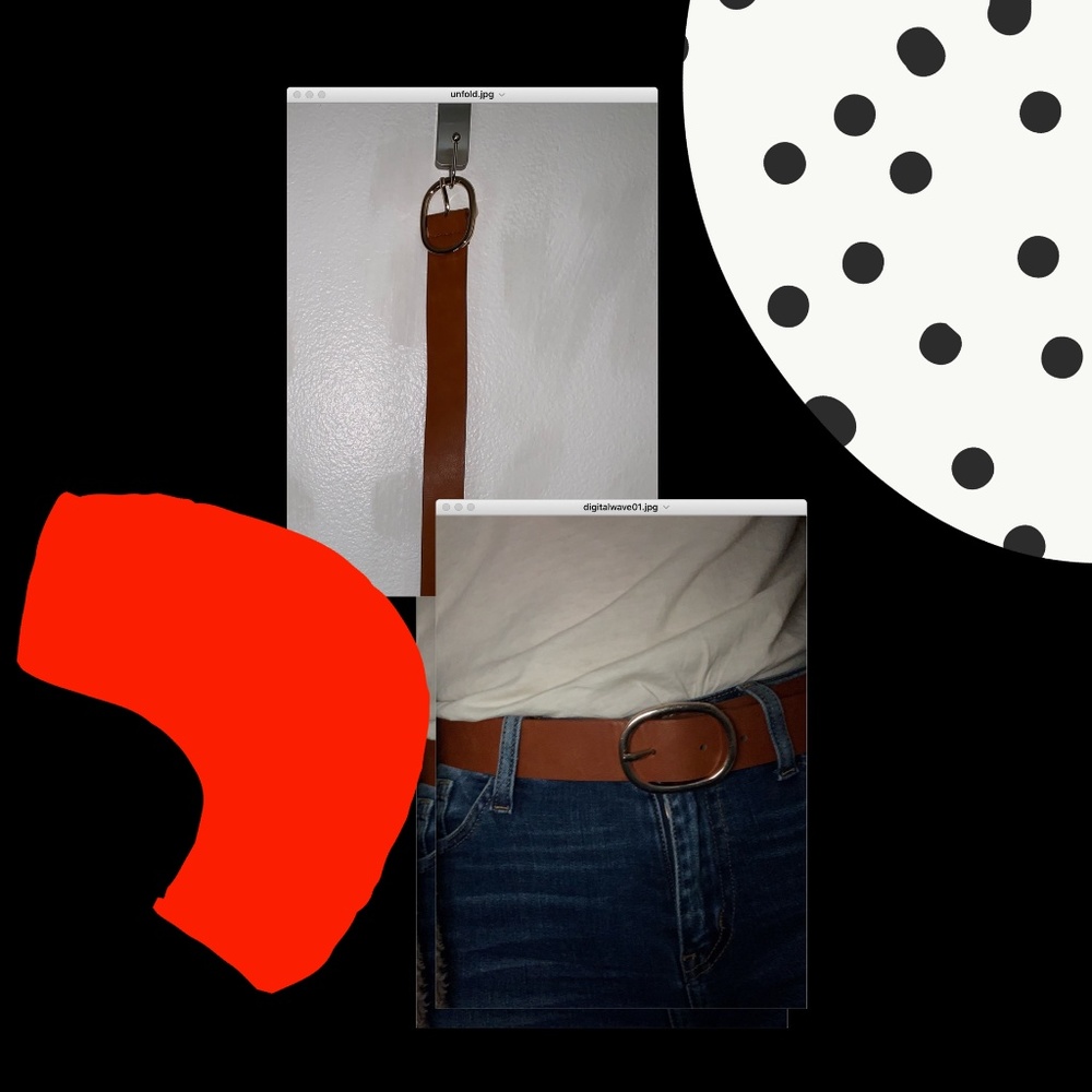 Tan and Gold Belt